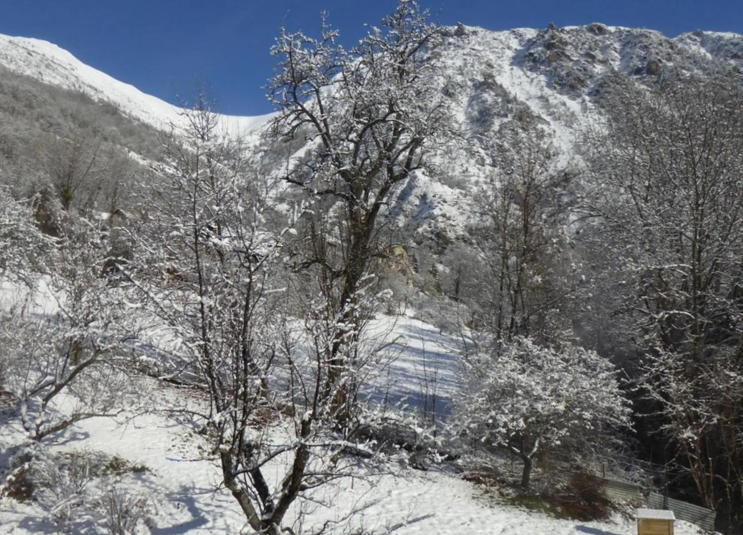 Chambre D'Hote Calme Au Milieu D'Un Jardin Au Freney D'Oisans ル・フルネ・ドワザン ホームステイ